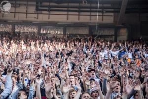 AGF - F.C. København - 05/05-2016