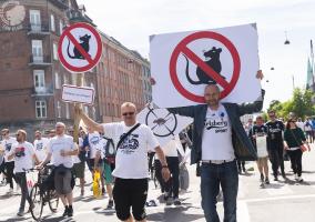 F.C. København - Brøndby - 25/05-2017