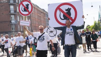 F.C. København - Brøndby - 25/05-2017